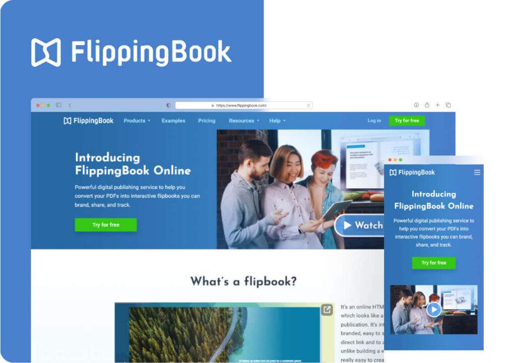 Flipping Book Solutions